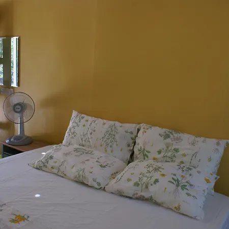 Greenhouse Ecolodge Pulau Mantani Ruang foto