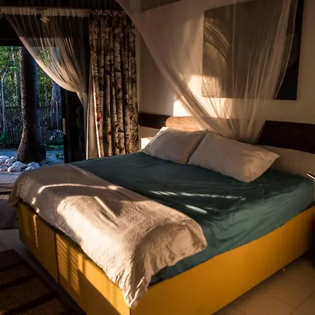 Greenhouse Ecolodge Pulau Mantani Bagian luar foto