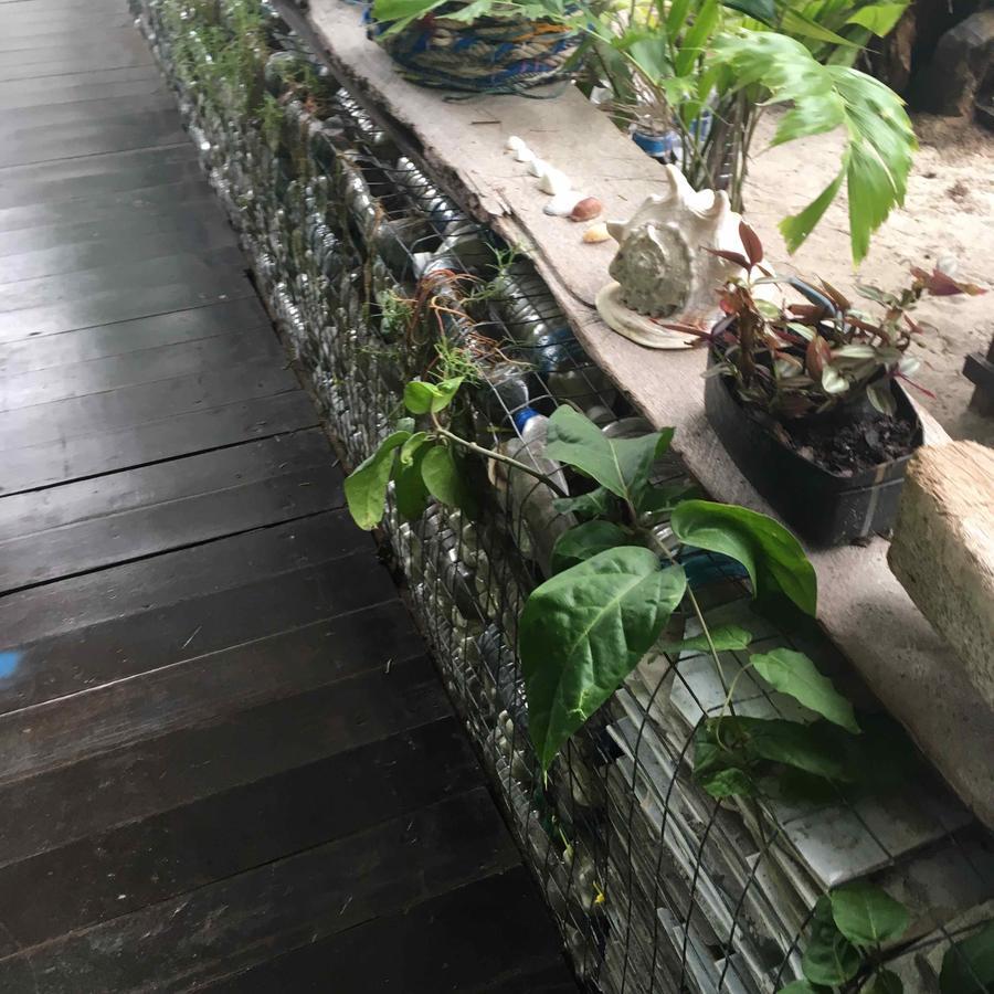 Lodge Greenhouse